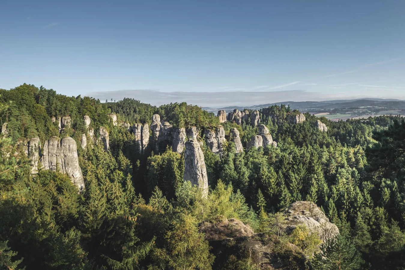 Bucovine, Roumanie