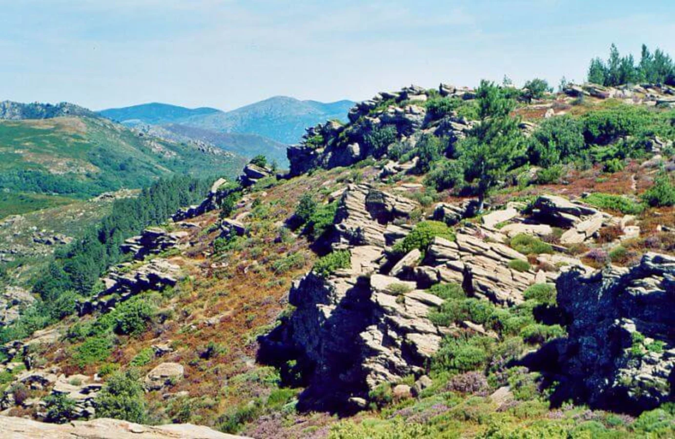 Parc naturel régional du Haut-Languedoc, France