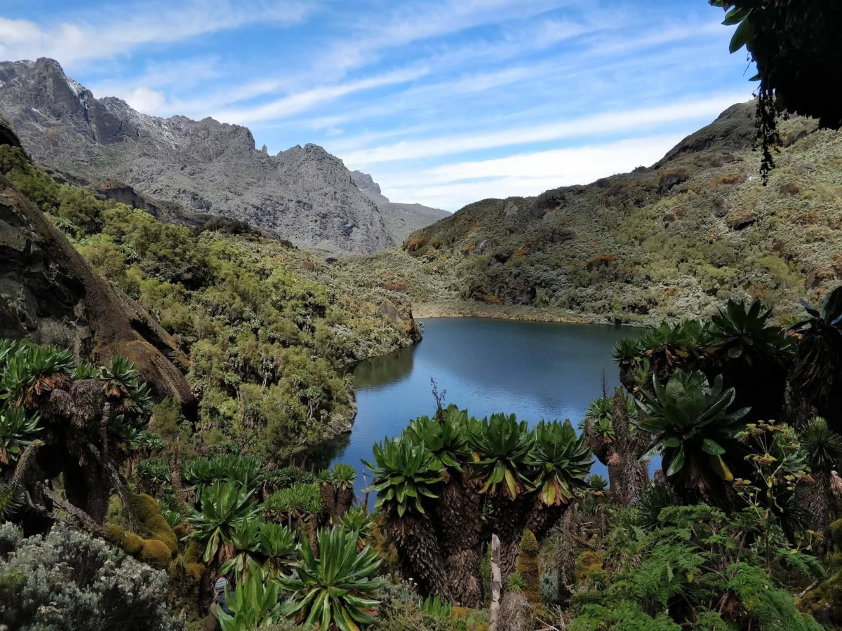 Monts Rwenzori, République démocratique du Congo, Ouganda
