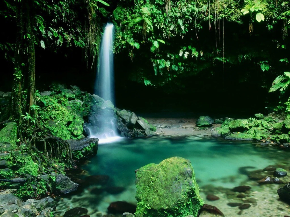 Parc national de Morne Trois Pitons, Dominique