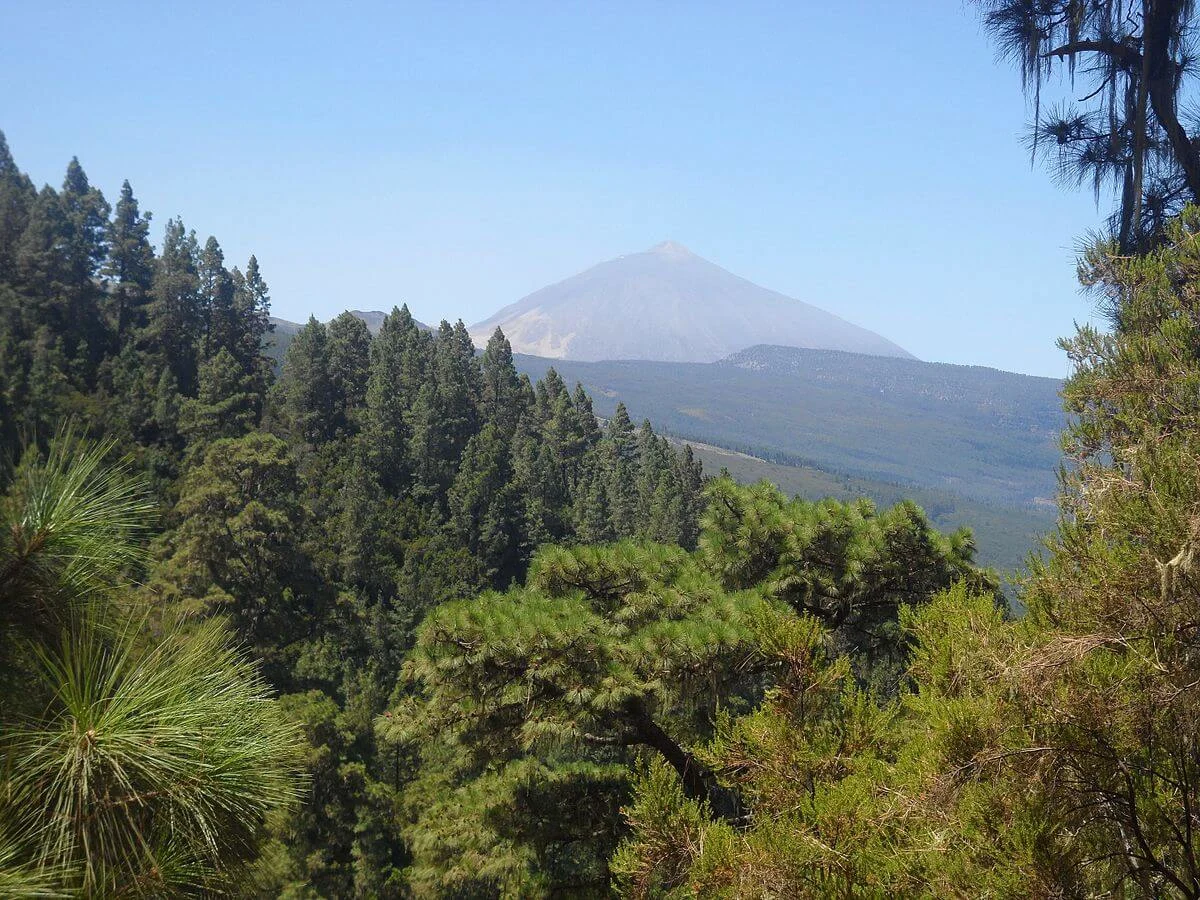 Parc naturel de la Corona Forestal, Espagne, Canaries