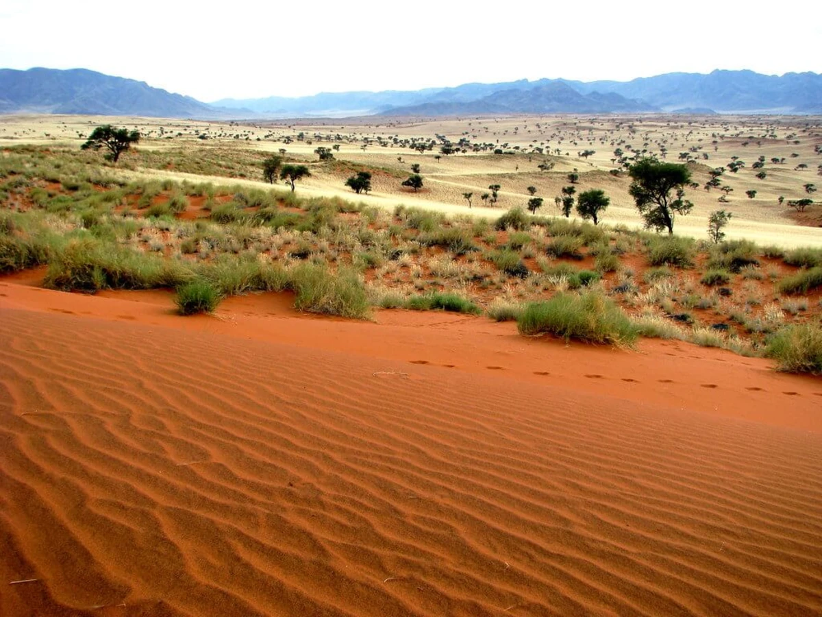 Tok Tokkie Hiking Trails, Namibie