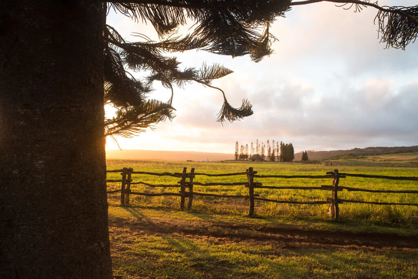 Lanai, États-Unis, Hawaï