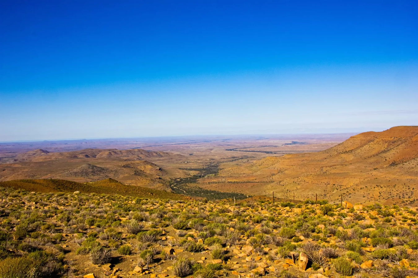 Goegap Nature Reserve, Afrique du Sud