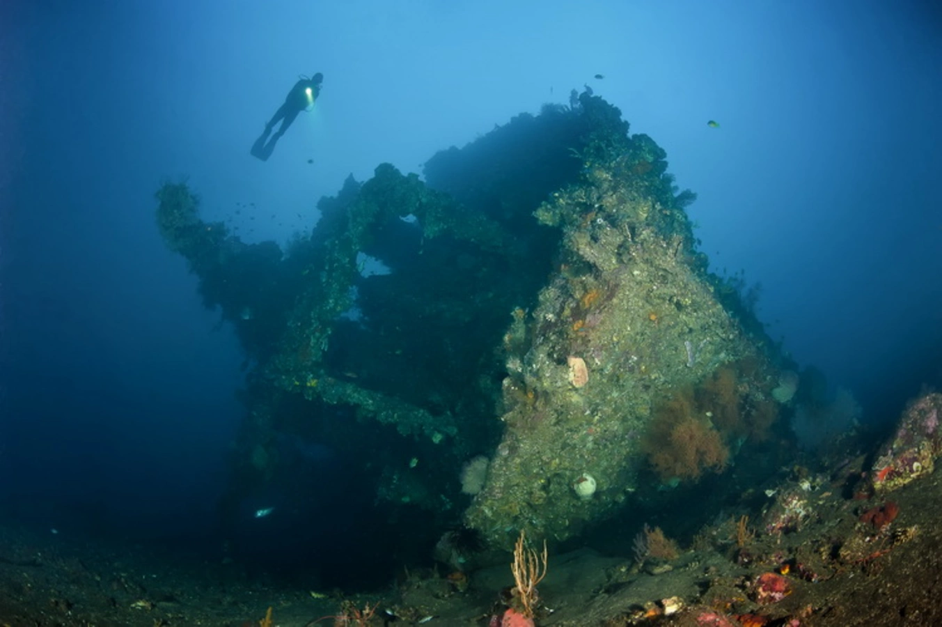 Épave du USAT Liberty, Indonésie, Bali