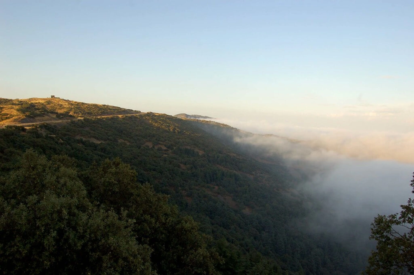 Parc national de Chréa, Algérie