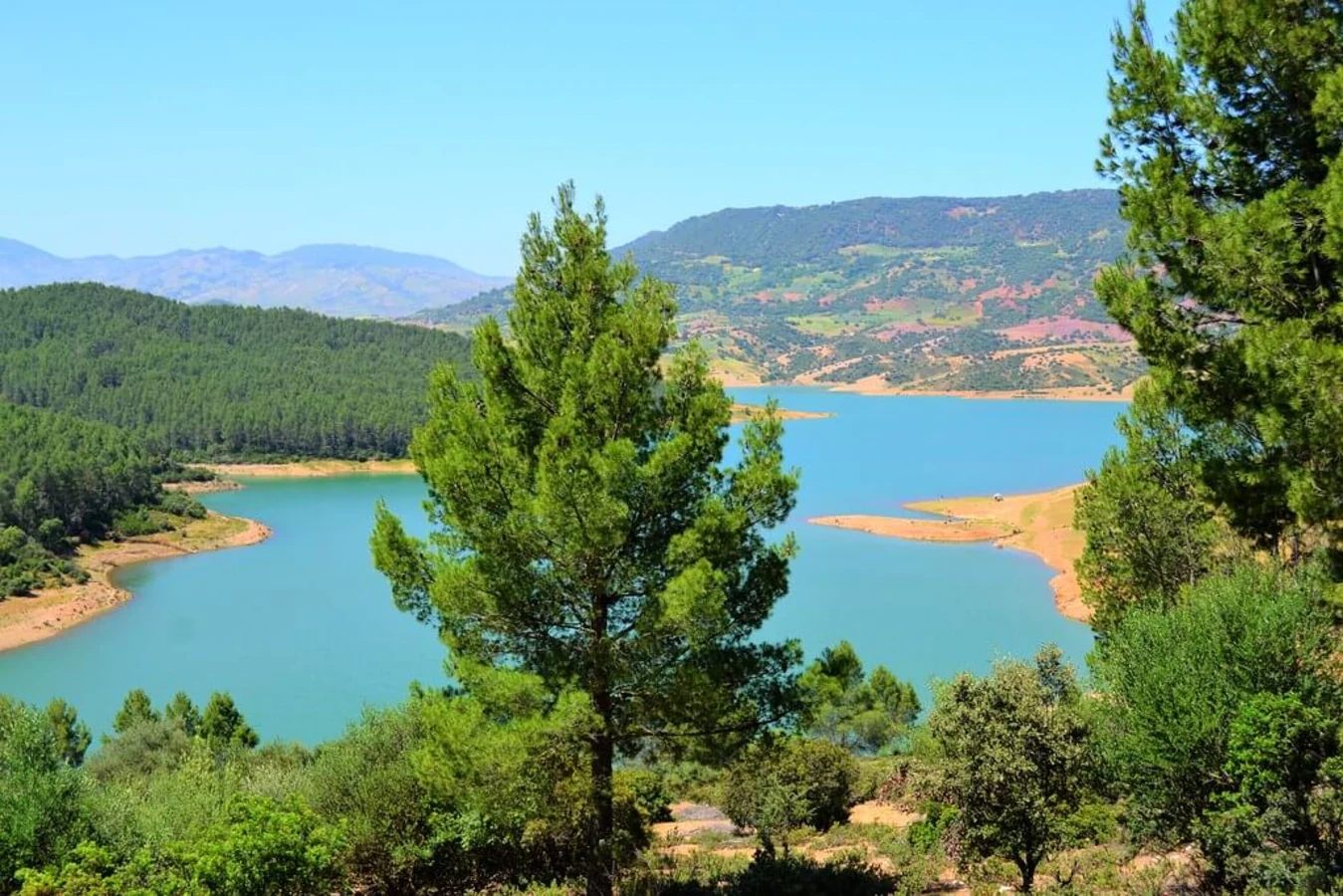 Parc national de Tazekka, Maroc
