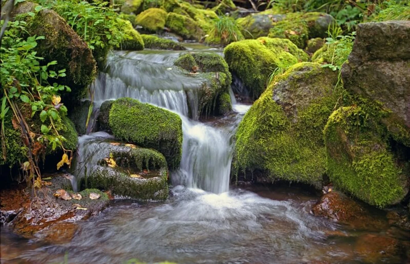 Réserve naturelle de Saiano-Chouchensk, Russie