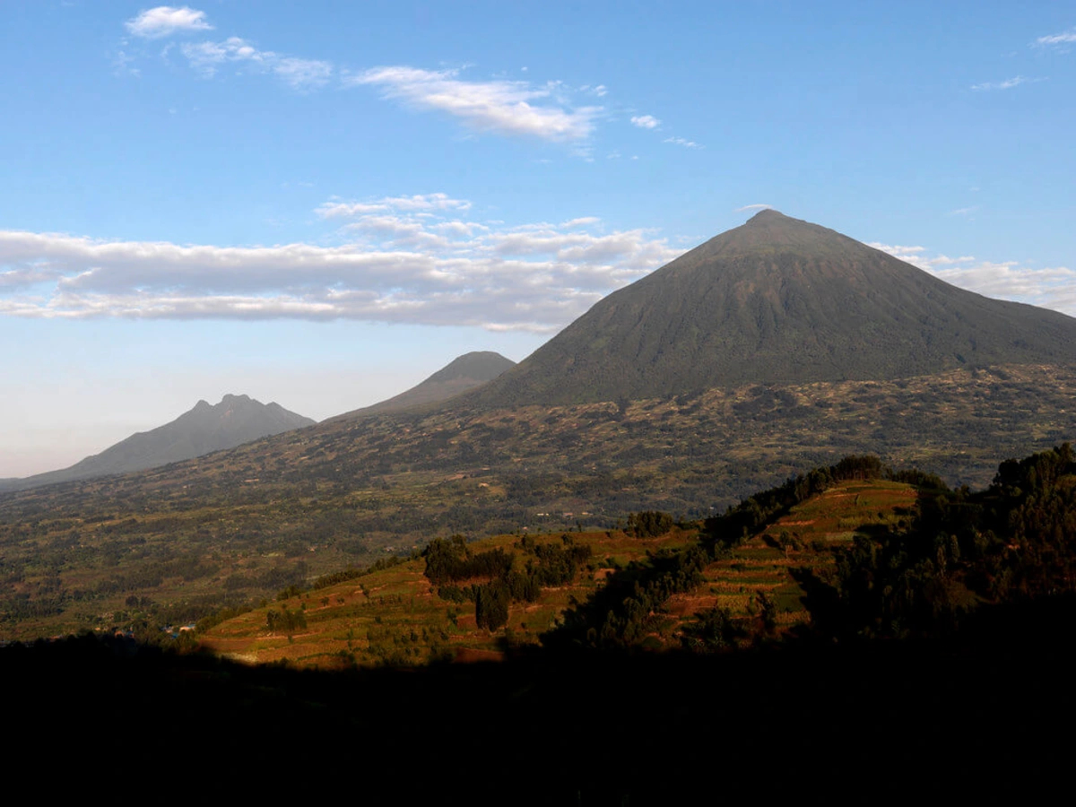 Parc national des volcans, Rwanda