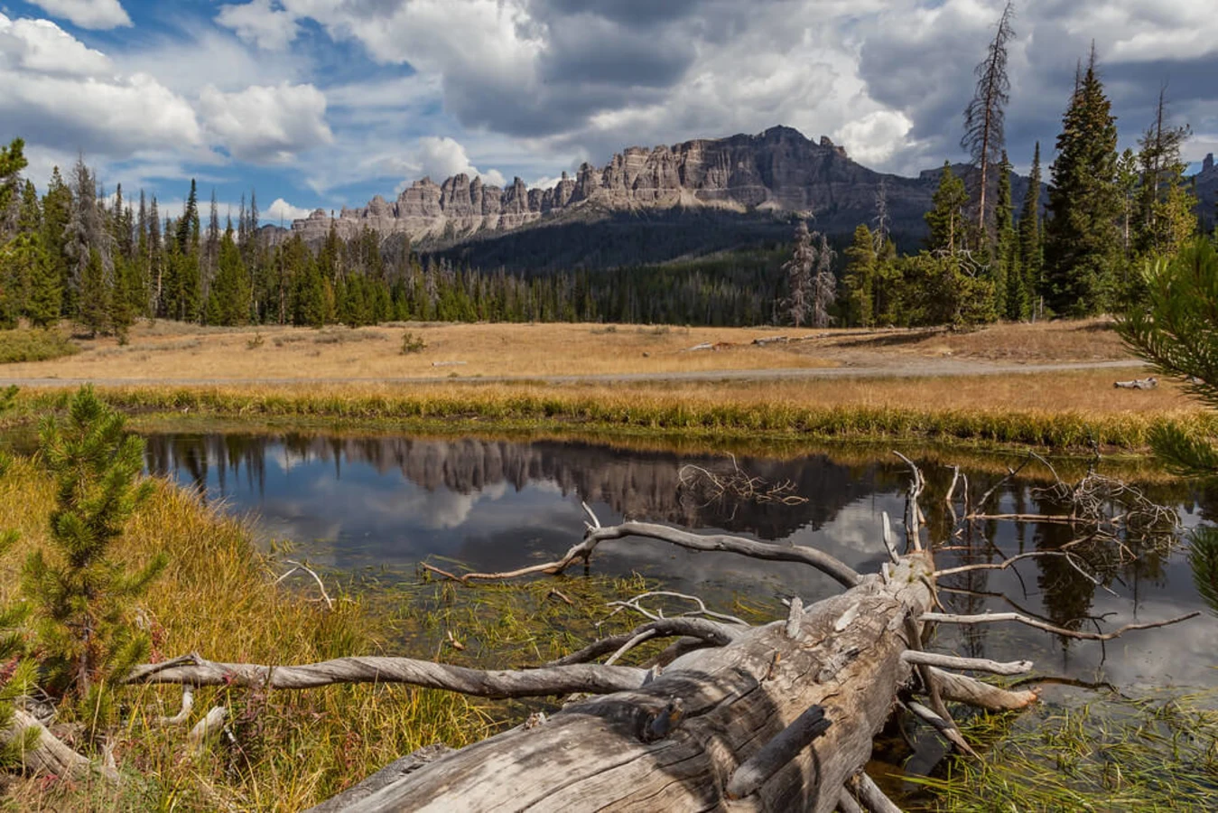 Forêt nationale de Shoshone, États-Unis