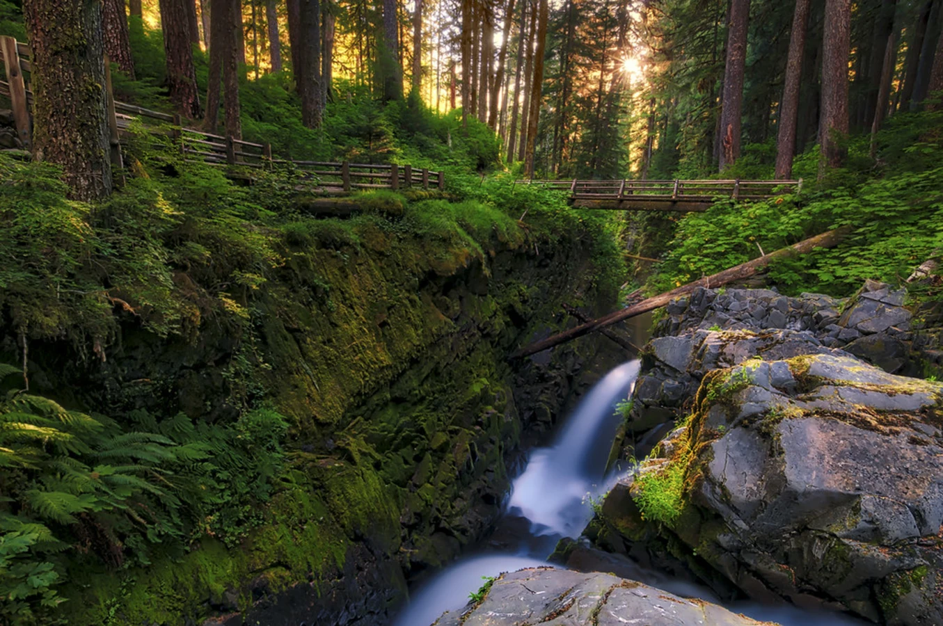Sol Duc Valley, États-Unis