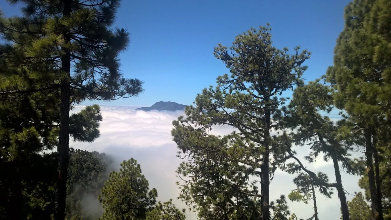 Parc naturel de Cumbre Vieja, Espagne, Canaries