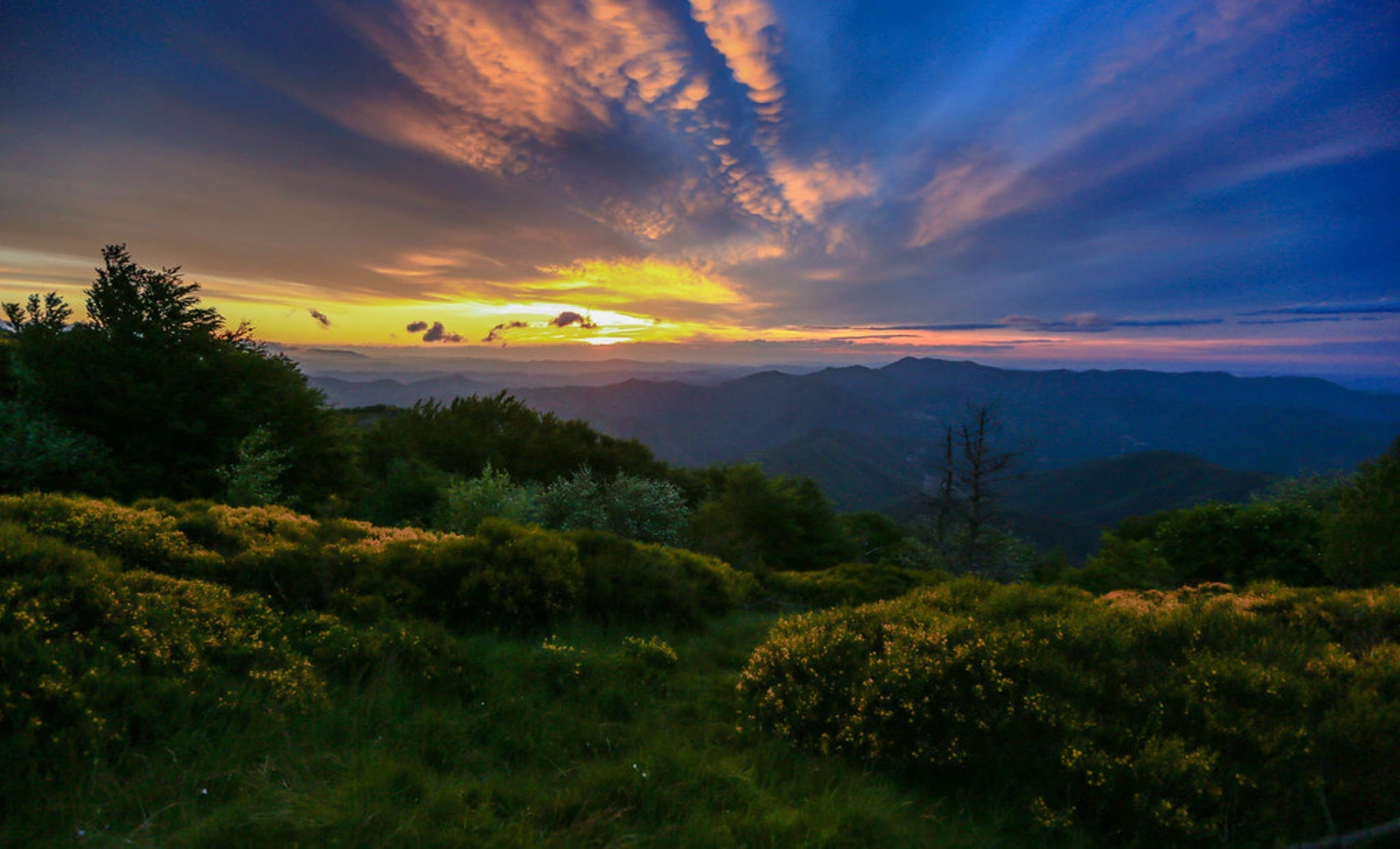 Parc national des Cévennes, France, France