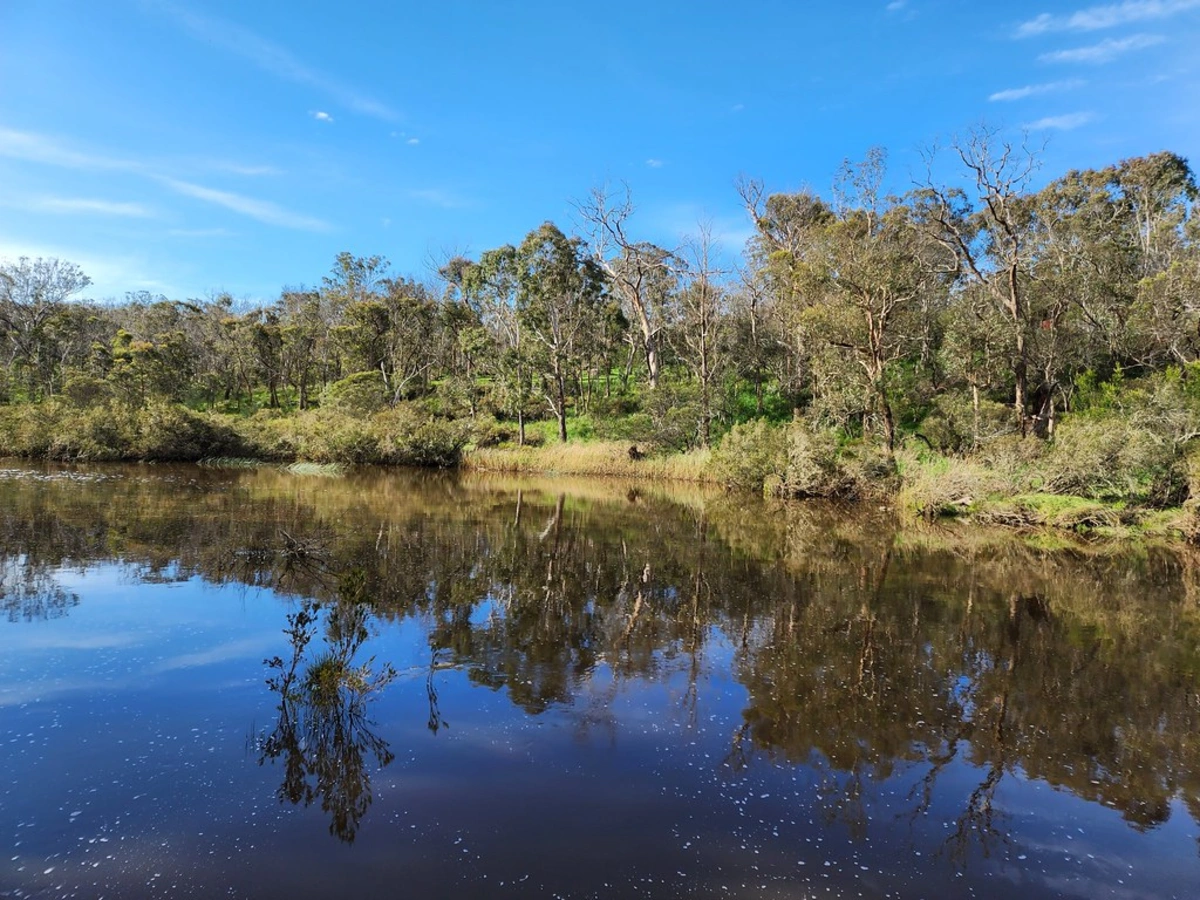 Forêts humides Gondwana de l'Australie, Australie, Australie