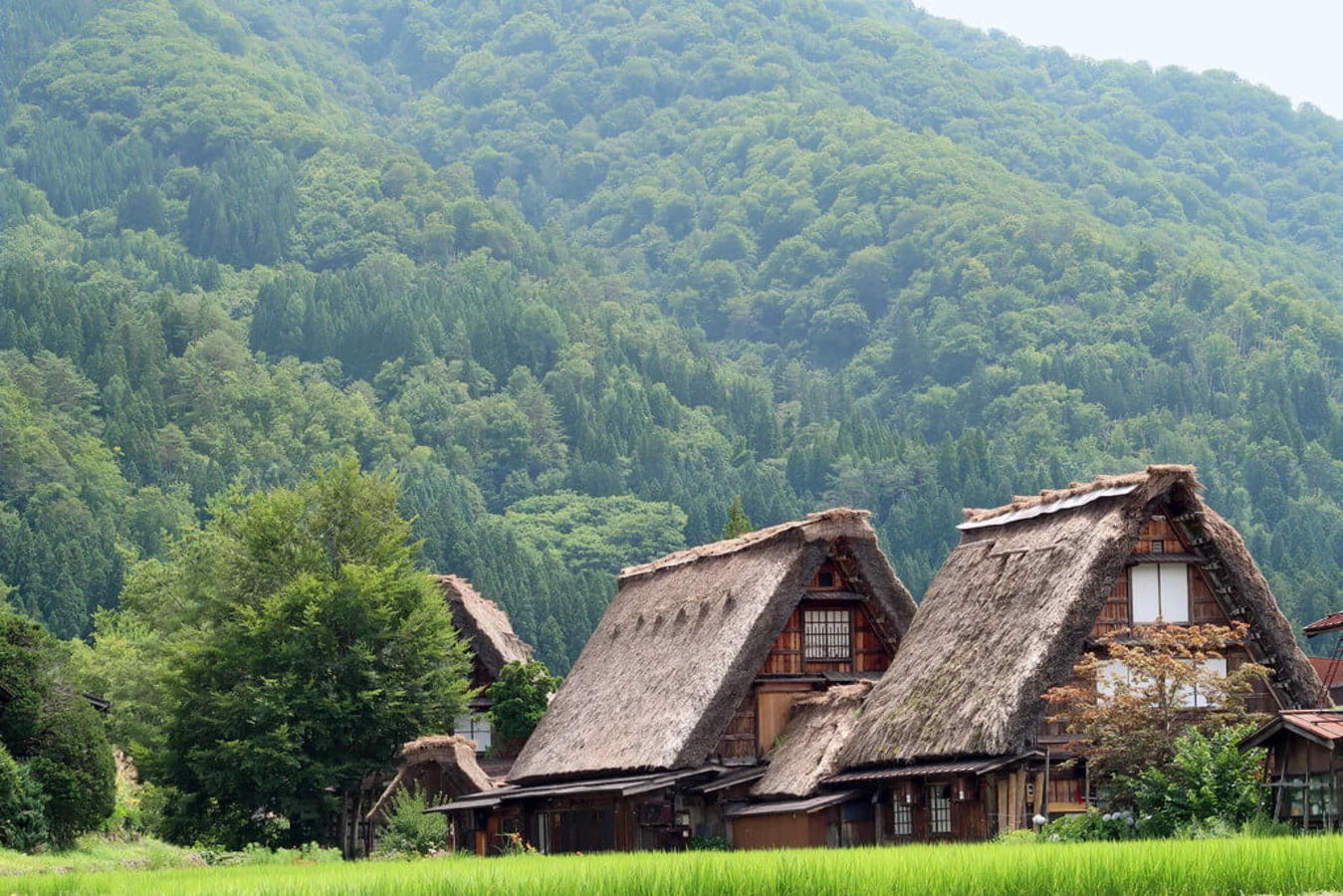 Shirakawa, Japon