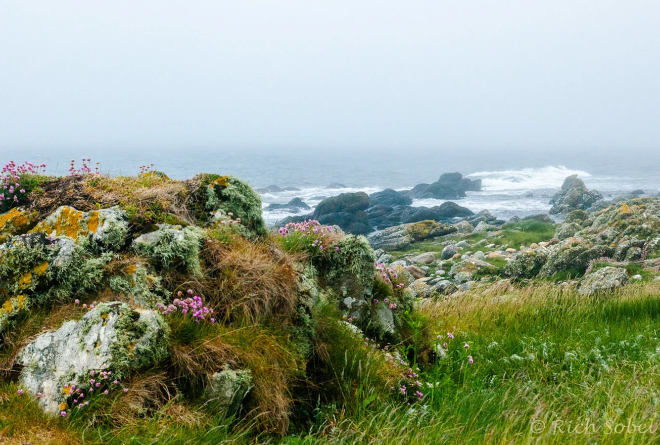 Arran Coastal Way, Écosse