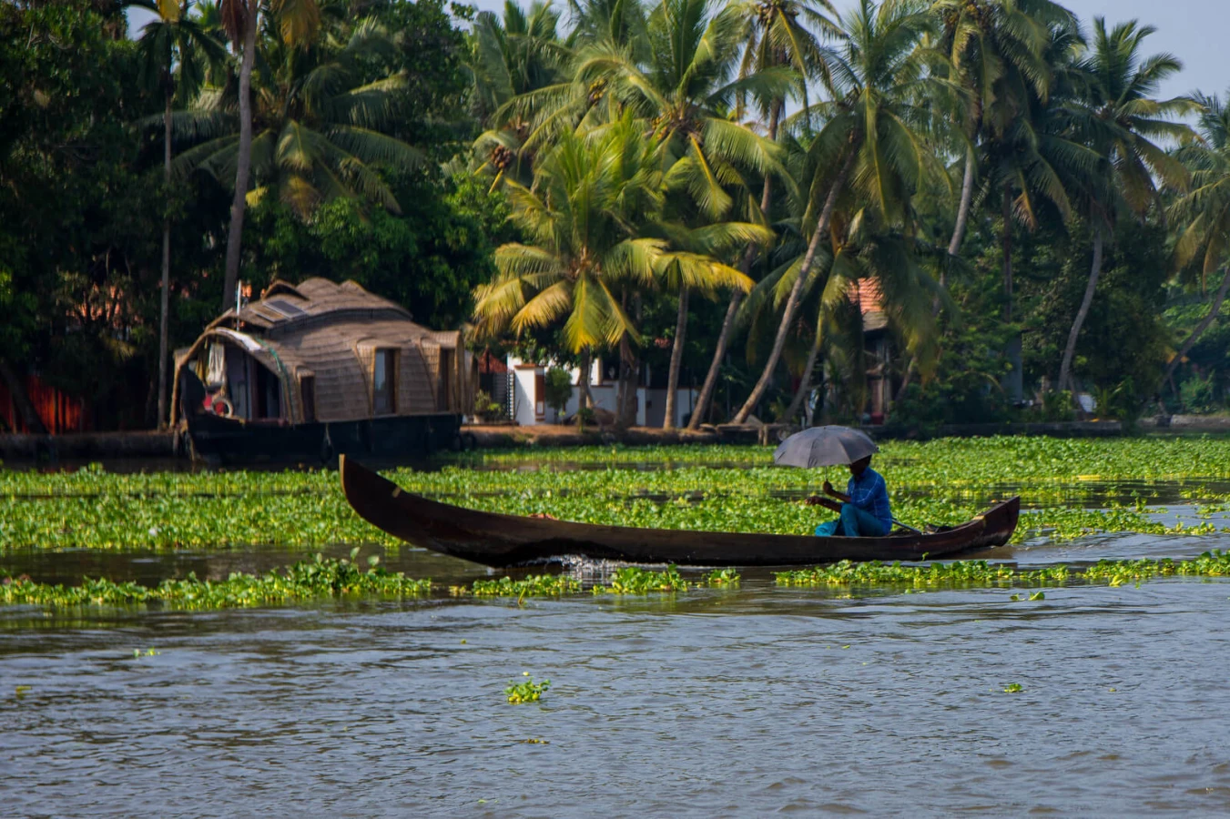Backwaters, Inde