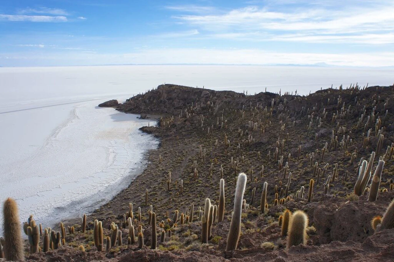 Isla del Pescado, Bolivie