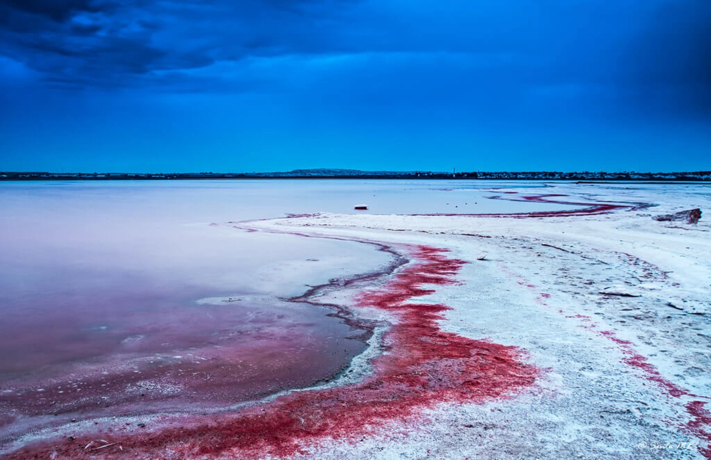 Lagune de Torrevieja, Espagne