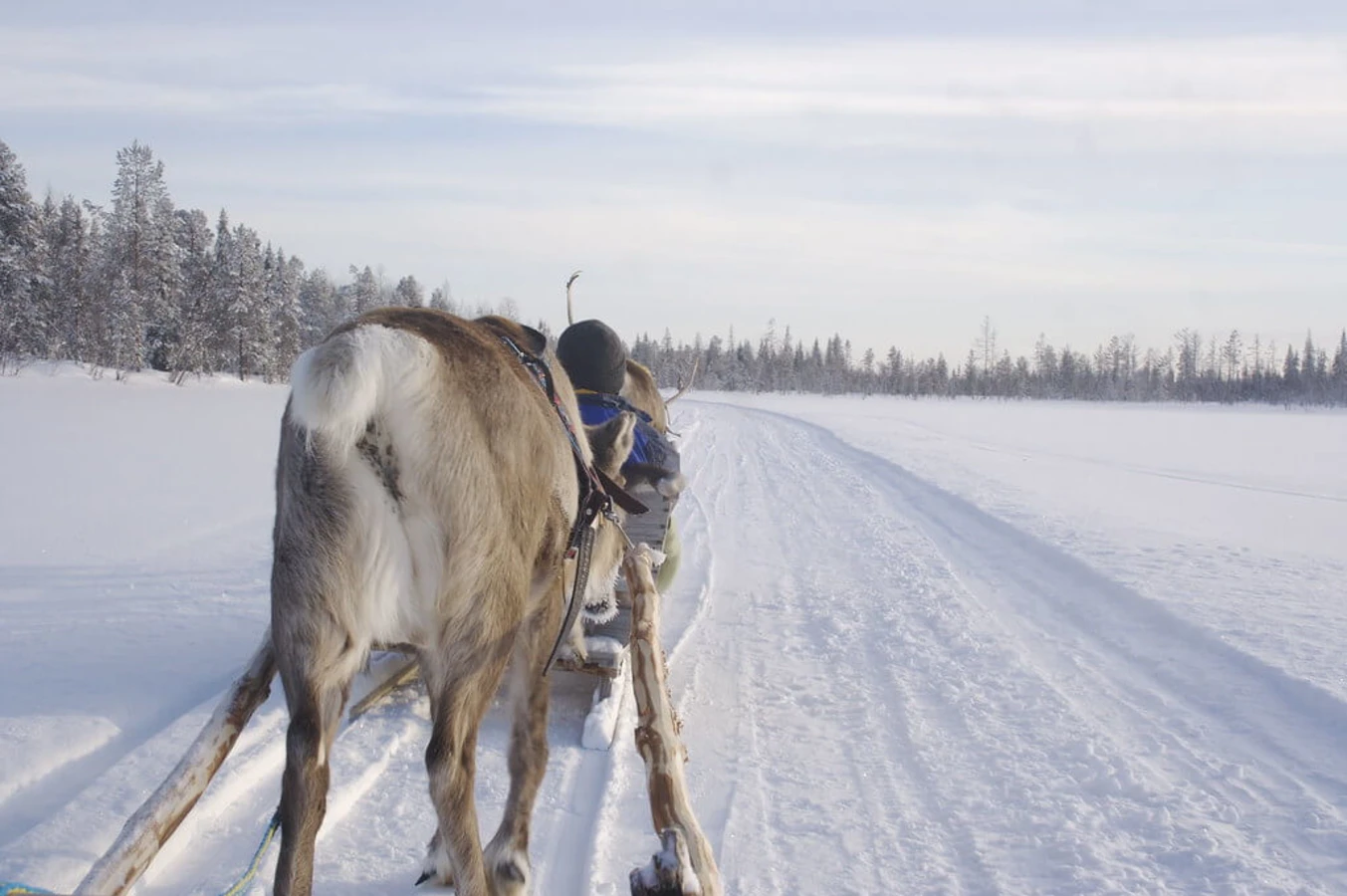 Levi, Finlande