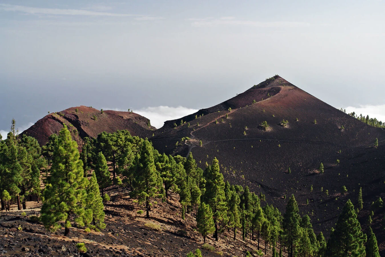 Volcan Martin (La Palma), Espagne, Canaries