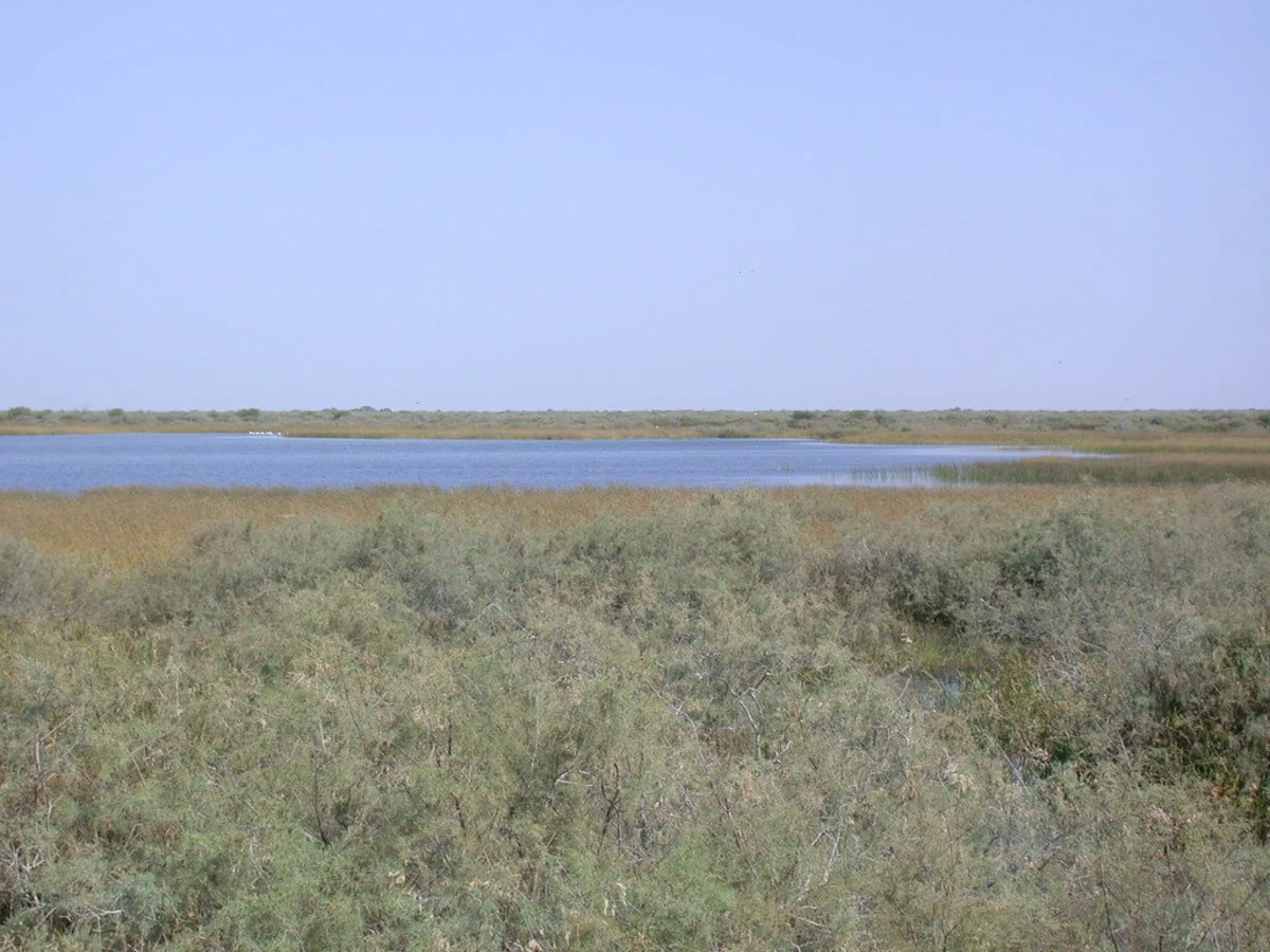 Parc national des oiseaux du Djoudj, Sénégal