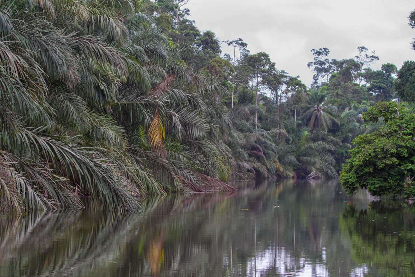 Parc national de Loango, Gabon