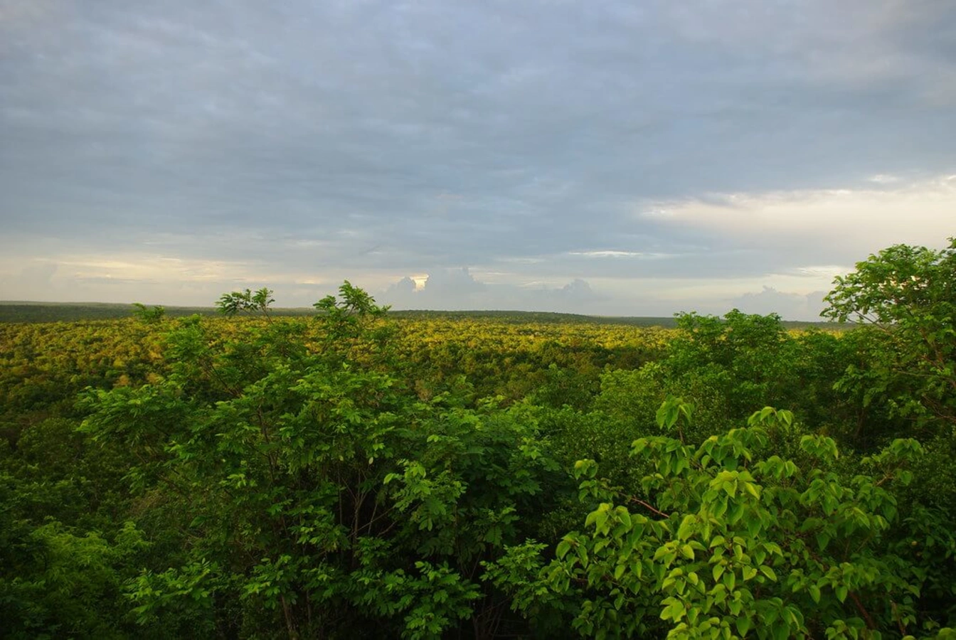 El Mirador, Guatemala