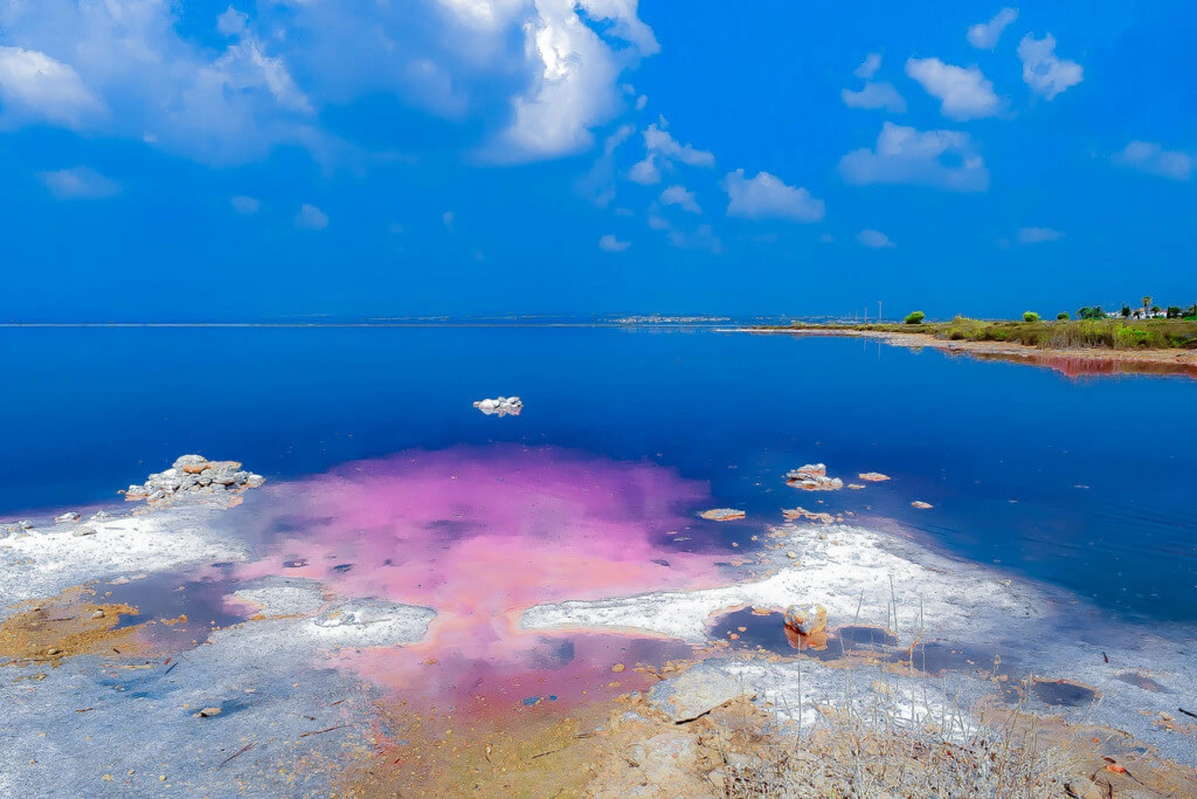 Lagune de Torrevieja, Espagne