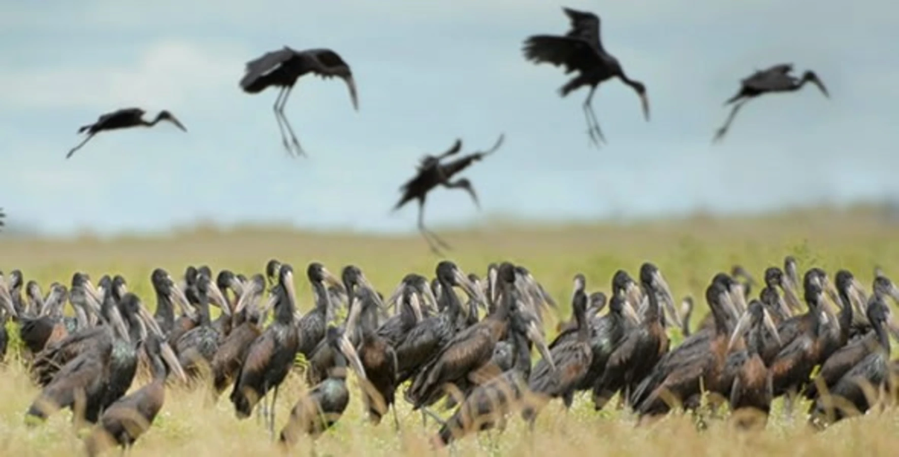 Parc national de Ruvubu, Burundi, Burundi, Burundi, Burundi
