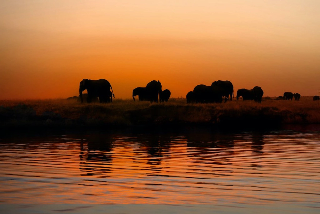 Kwando River, Namibie, Namibie, Botswana, Botswana