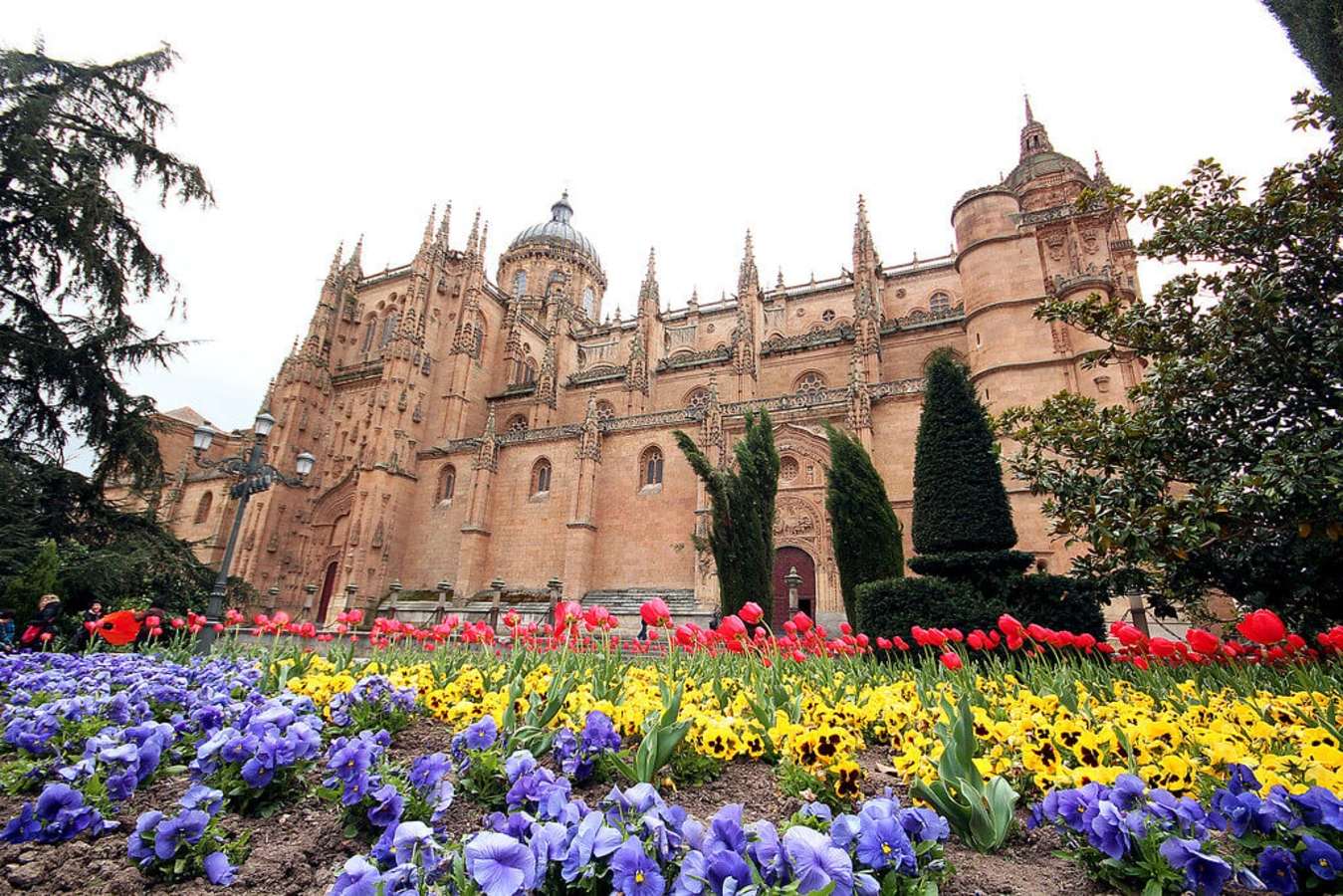 Université de Salamanque, Espagne