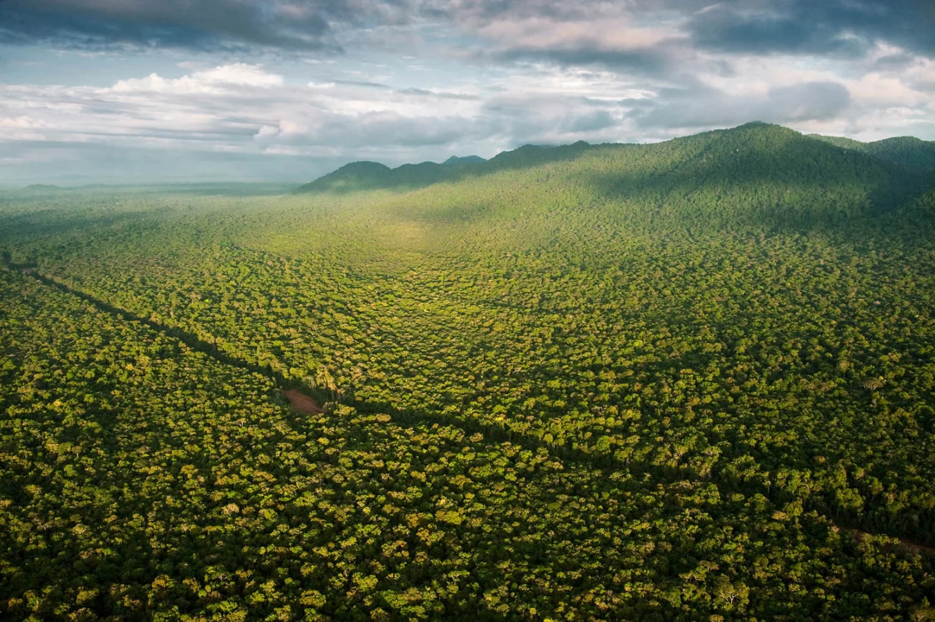 Kanuku Mountains, Guyana
