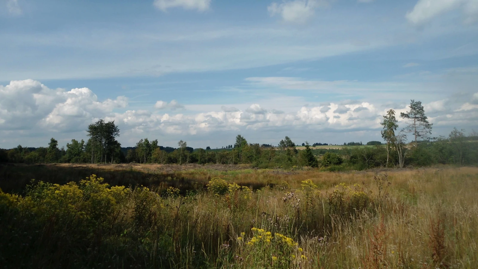 Plateau des Tailles, Belgique