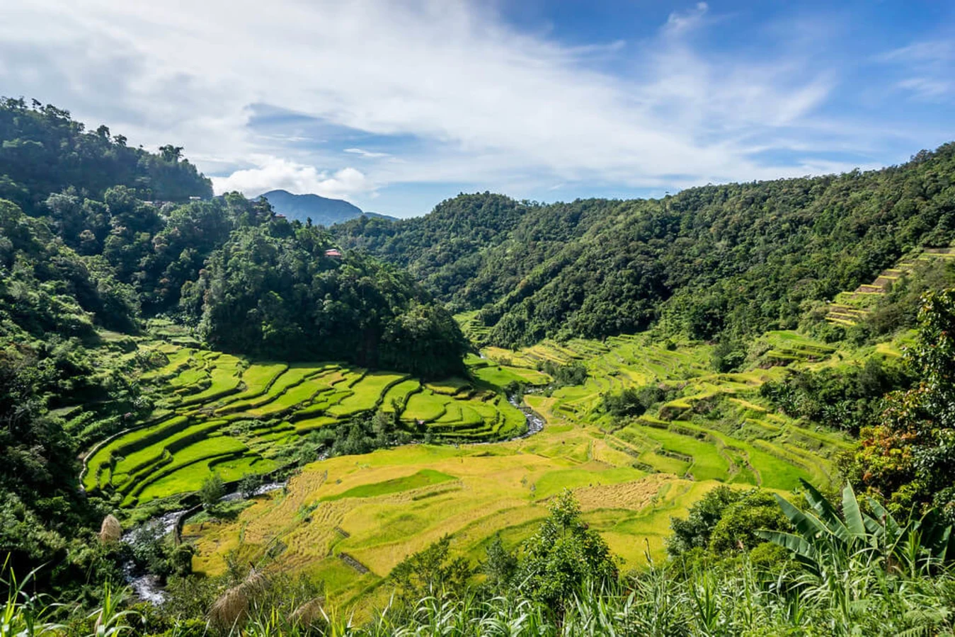Rizières de Batad, Philippines
