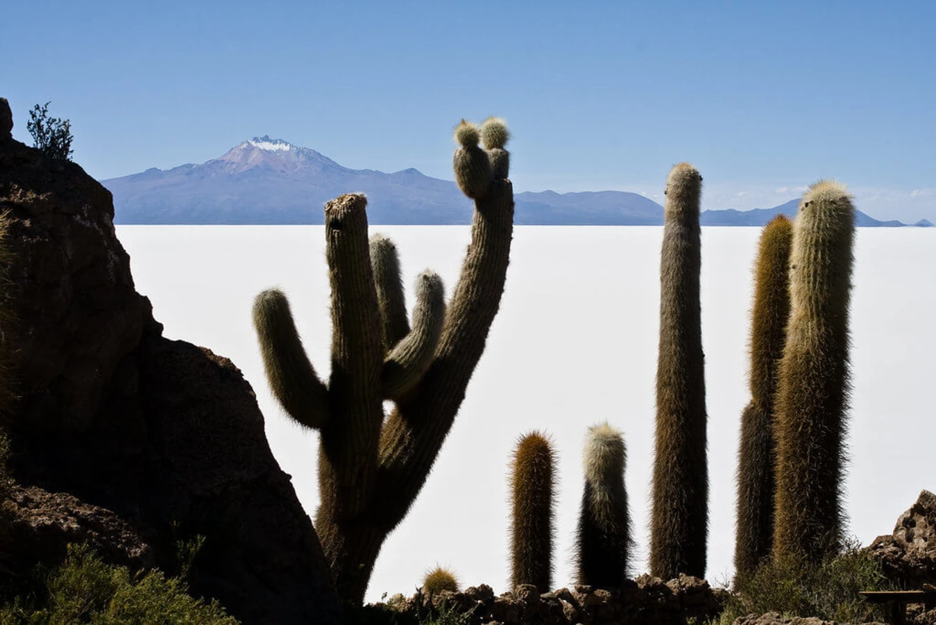 Isla del Pescado, Bolivie