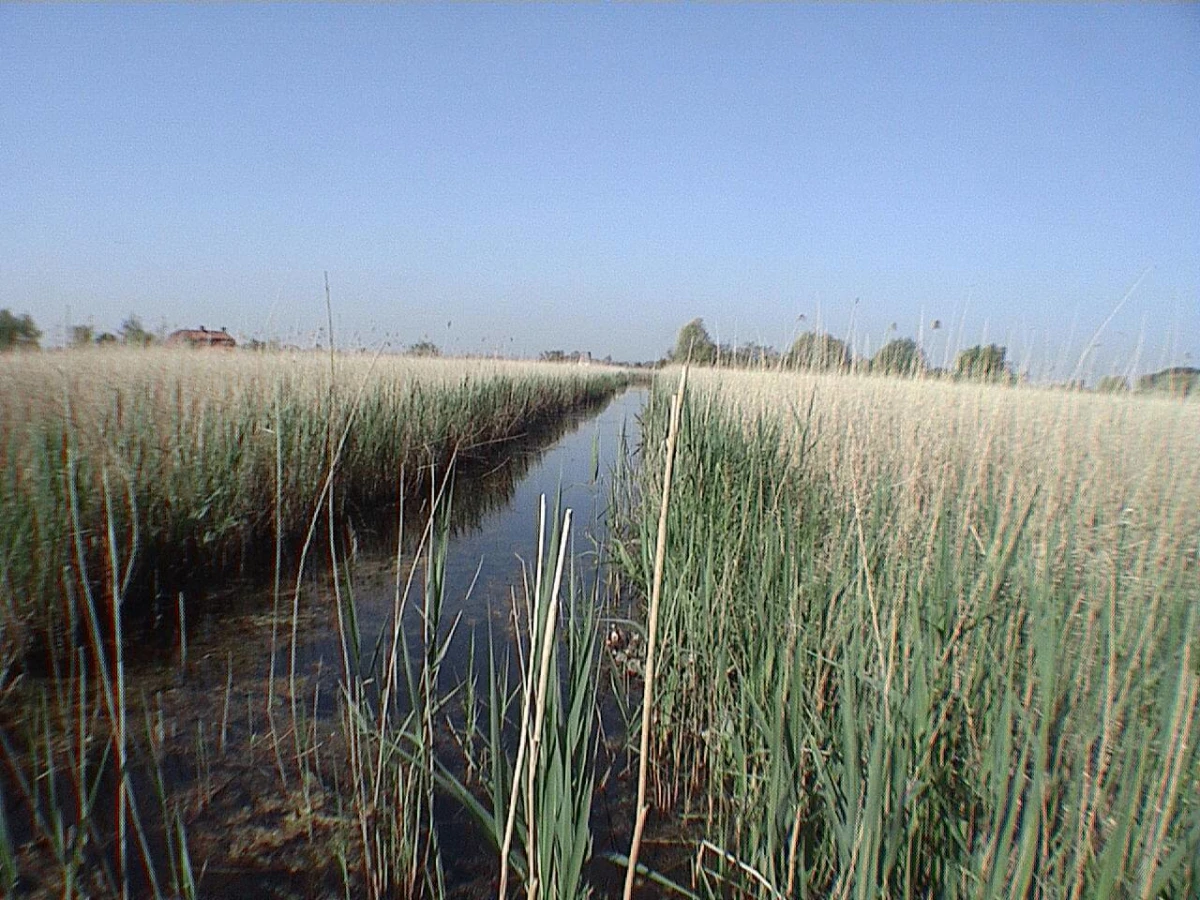 Marais audomarois, France