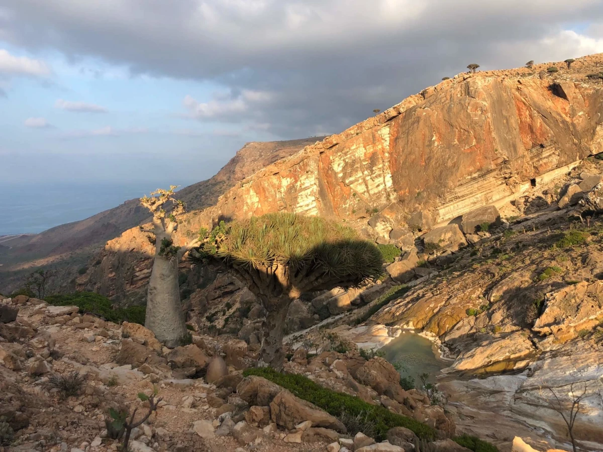  Homhil Swimming Pool, Yémen, Socotra