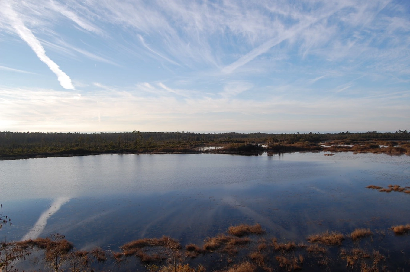 Marais d'Okefenokee, États-Unis, États-Unis