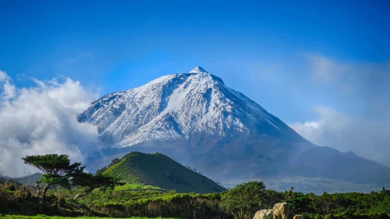 Ponta do Pico, Portugal, Açores