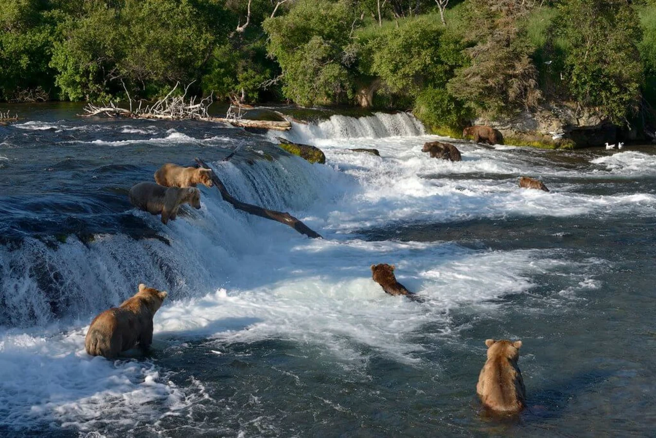 Chutes de Brooks, États-Unis