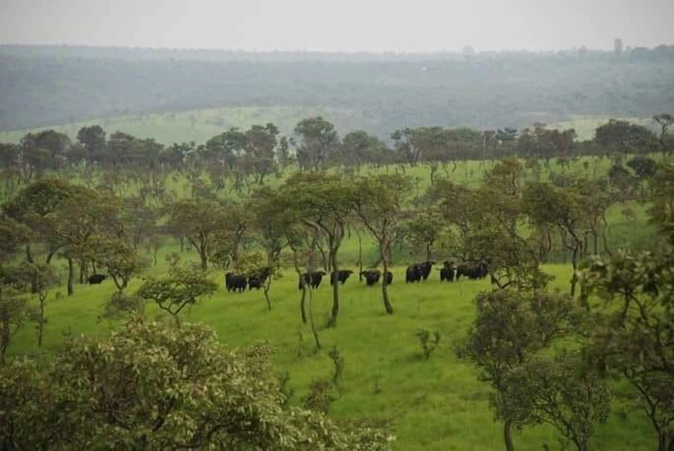 Parc national de Lantoto, Soudan du Sud