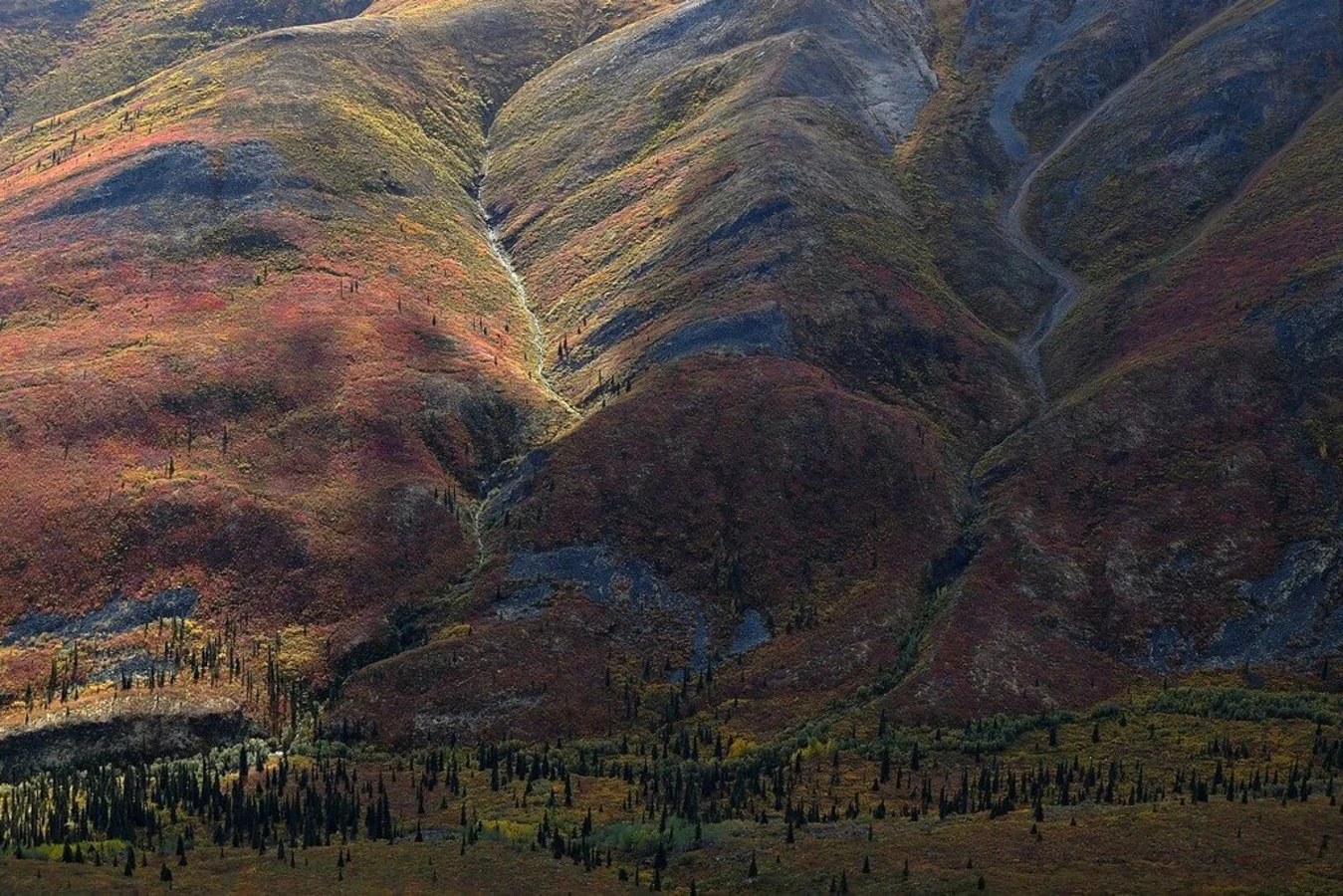 Parc territorial Tombstone, Canada