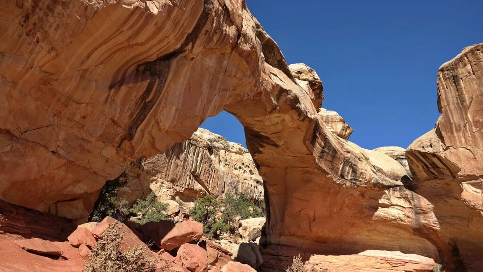 Parc national de Capitol Reef, États-Unis