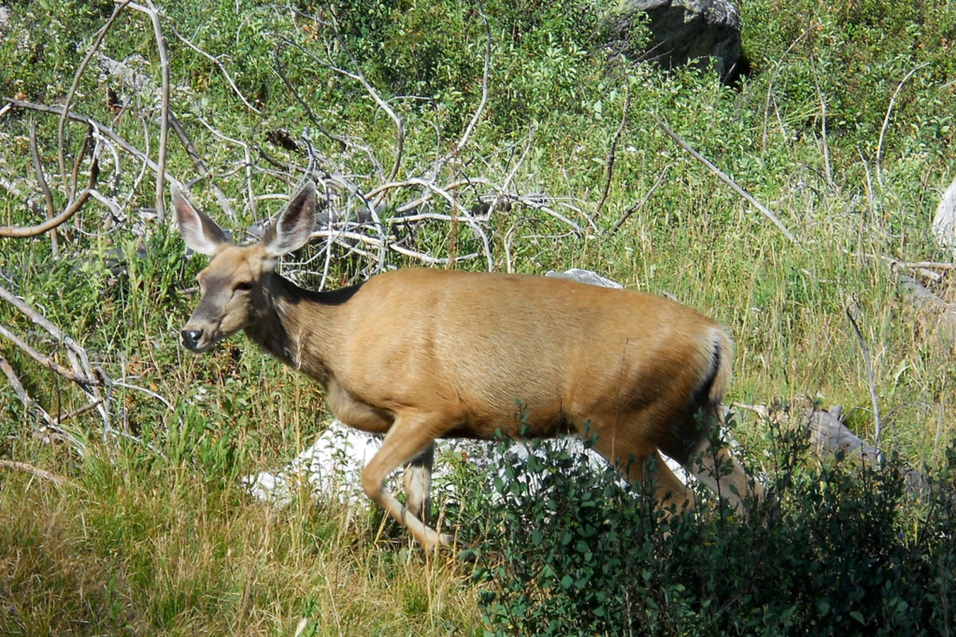 Hanging Canyon, États-Unis