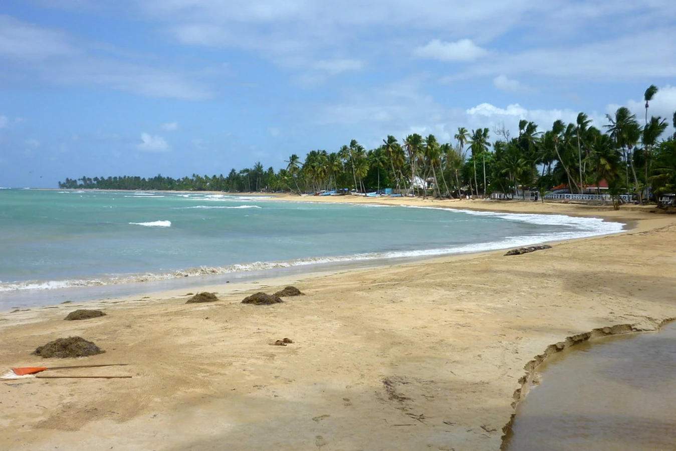 Playa Las Ballenas, République dominicaine