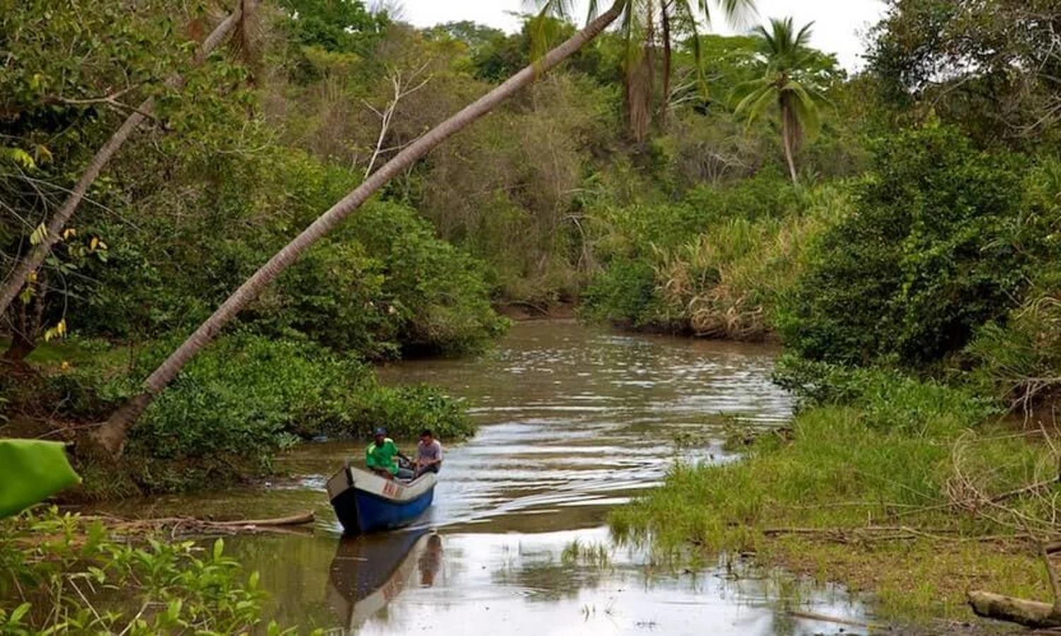 Parc national de Darien, Panama, Panama, Panama