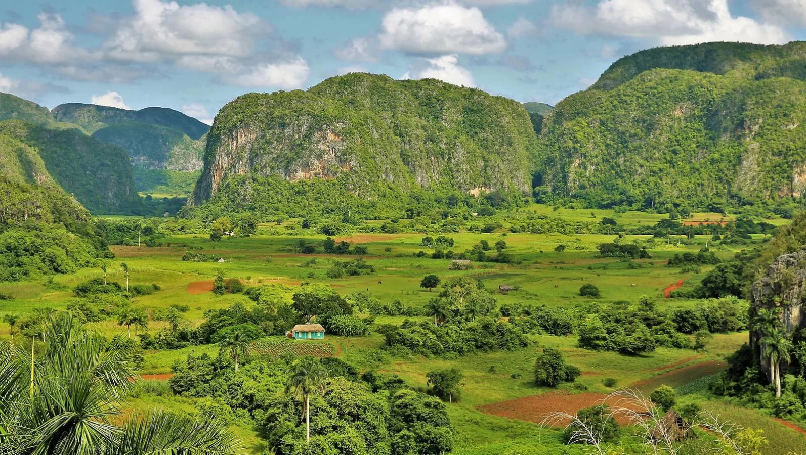 Vallée de Vinales, Cuba