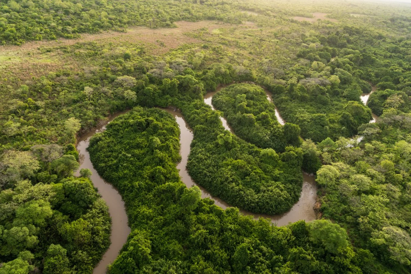 Réserve naturelle de Chinko, République centrafricaine