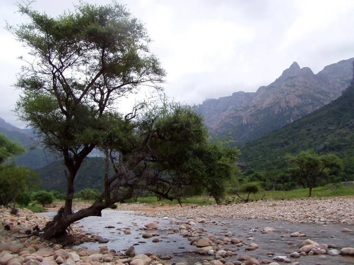 Parc national du Canyon d'Ayhaft, Yémen, Socotra